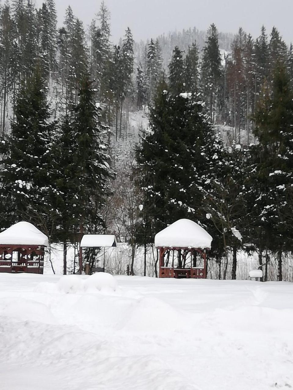 Кукулька Міні-Готель Slavsko Extérieur photo